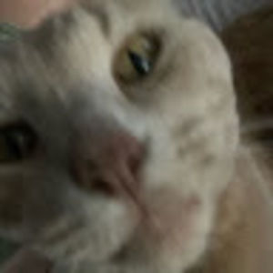 Meet your Posher, Isabela